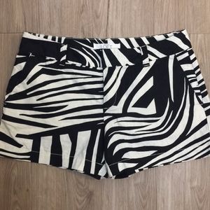 Ann Taylor LOFT Black White Zebra Print Shorts